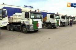 إيليزي: منح تراخيص لـ11 متعاملا إقتصاديا لممارسة تجارة المقايضة الحدودية