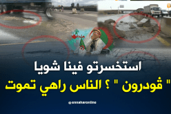 الشيخ النوي: الطريق الإجتنابي زرالدة – بودواو.. في حالة كارثية