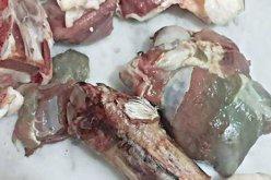 وزير الفلاحة: “سنفتح تحقيقا في قضية إخضرار لحوم الأضاحي قريبا”