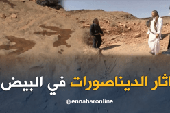  أثار الديناصورات من دون دراسات ومهملة بالبيض