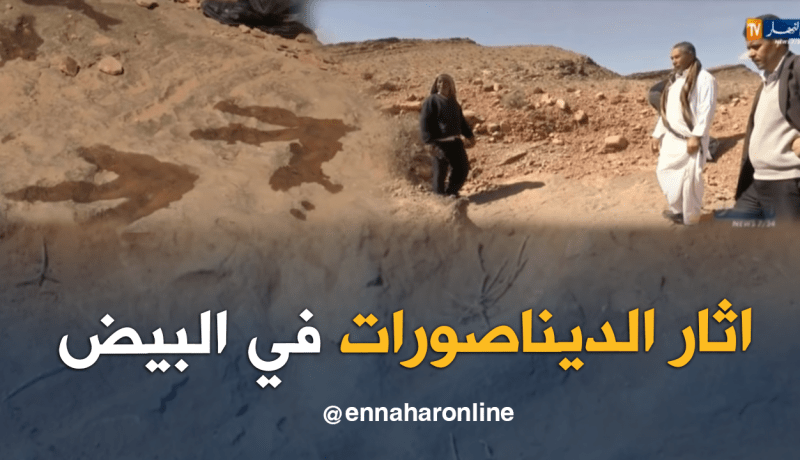  أثار الديناصورات من دون دراسات ومهملة بالبيض