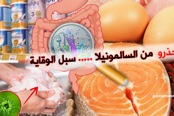 هذه هي الاطعمة التي تتنقل عبرها بكتيريا السالمونيلا