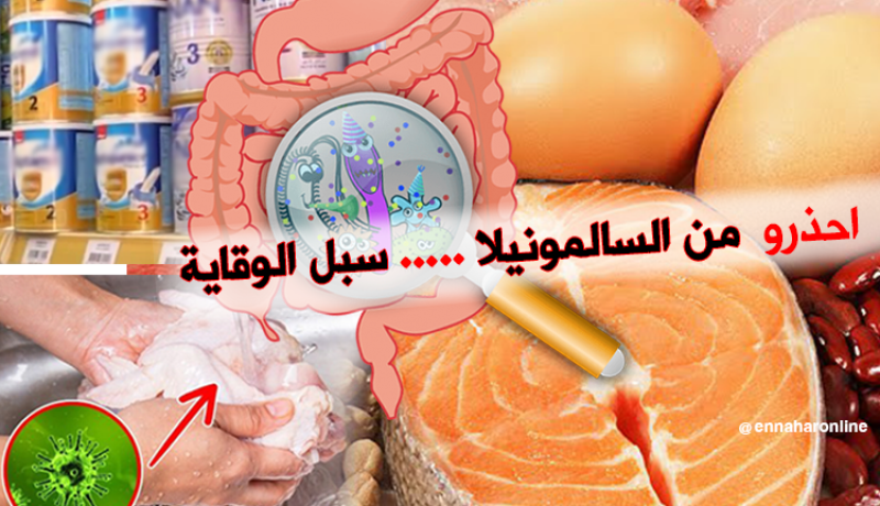 هذه هي الاطعمة التي تتنقل عبرها بكتيريا السالمونيلا