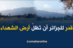 أحمد البادي: قدّر للجزائر أن تظل بقعة الشهداء