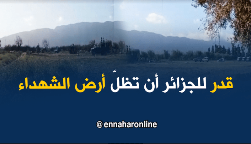 أحمد البادي: قدّر للجزائر أن تظل بقعة الشهداء