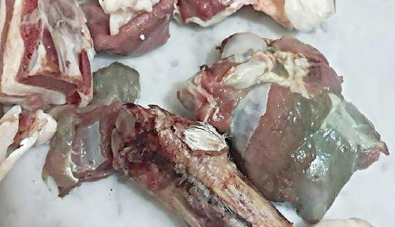 تسجيل أول حالة لإخضرار لحوم الأضاحي بولاية البليدة