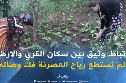 بالصور…المرأة القبائلية فضلت خدمة أراضيها على النزوح نحو المدن الكبرى