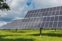 السنغال مهتمة بنقل الخبرة الجزائرية في مختلف المجالات