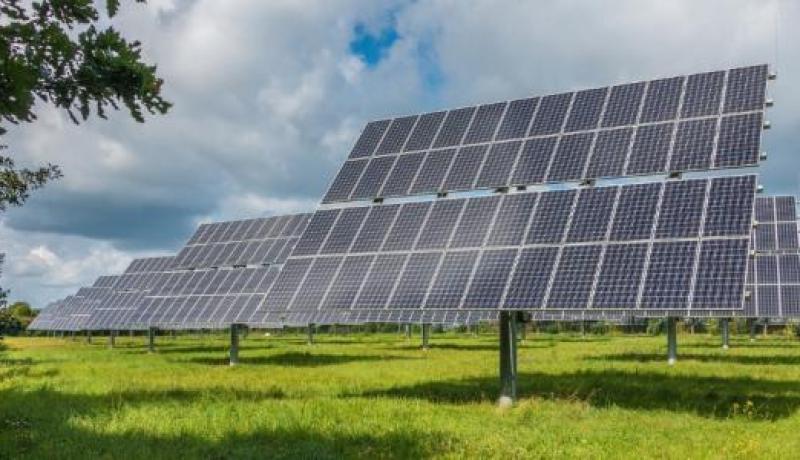 السنغال مهتمة بنقل الخبرة الجزائرية في مختلف المجالات