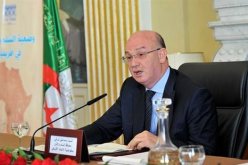 شرقي: المقاربة الجزائرية لتسوية الأزمة في ليبيا تتوفر على كل مقومات النجاح