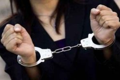 مستغانم.. تورط 23 امرأة و 9 قصر في جرائم مختلفة