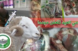 بالفيديو.. ظاهرة تعفن اللحوم تجتاح 15 ولاية!