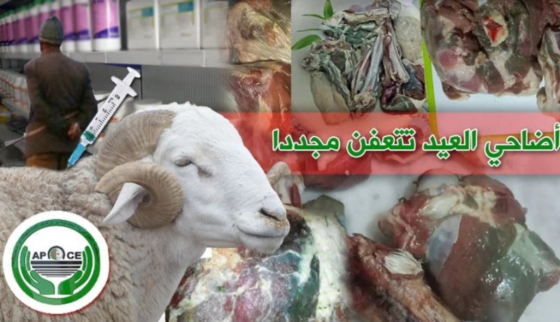 بالفيديو.. ظاهرة تعفن اللحوم تجتاح 15 ولاية!