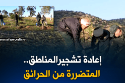 غليزان: مشروعين لإعادة تشجير المناطق المتضررة من الحرائق
