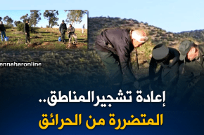 غليزان: مشروعين لإعادة تشجير المناطق المتضررة من الحرائق