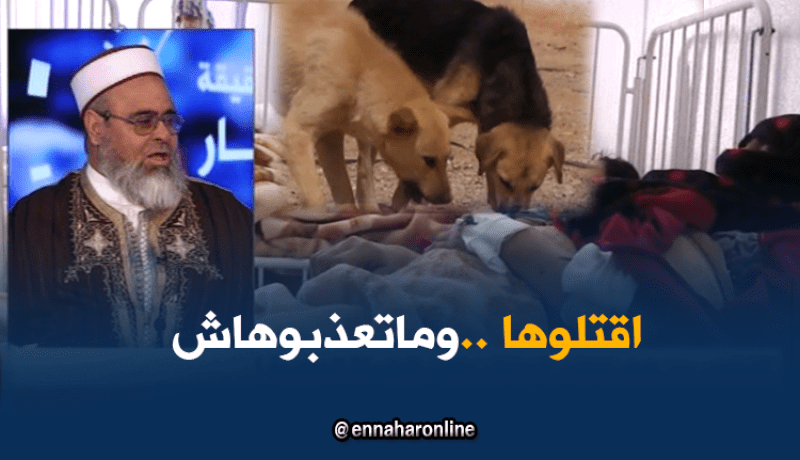 يجوز قتل الكلاب الضالة.. ولكن برحمة