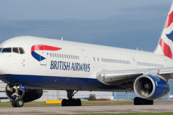 حشرات تُجبر طائرة على الهبوط اضطراريا