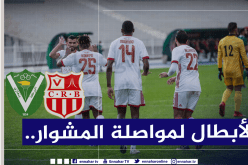 رابطة الأبطال الإفريقية.. بلوزداد في الأراضي المصرية لمواصة المغامرة القارية
