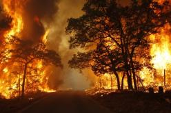 الحرائق تأتي على 90 ألف هكتار بغرب الأرجنتين