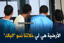 العديد من التلاميذ نجحوا في البكالوريا بفضل أرضية الوزارة
