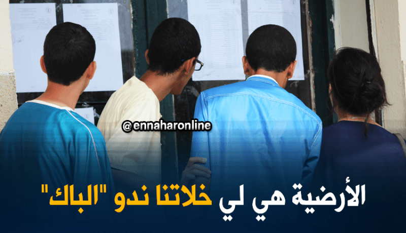 العديد من التلاميذ نجحوا في البكالوريا بفضل أرضية الوزارة