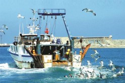 إنقاذ 30 صيادا على وشك الغرق بعين تموشنت