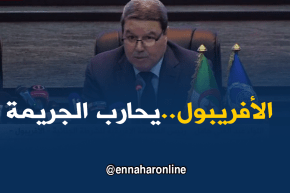 هامل/” مكافحة الإرهاب والجريمة المنظمة من أولويات الأفريبول”