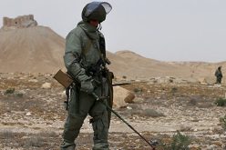 إنتخاب الجزائر عضوا في لجنة مساعدة ضحايا الألغام المضادة للأفراد