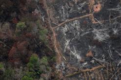 النيران تلتهم “رئة العالم”… الأمازون تحترق