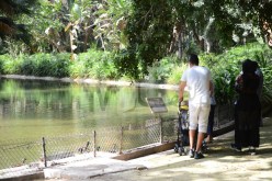 إلياس رحال: دراسة مشروع الدخول إلى الأماكن العامة والمراكز المغلقة حصريا للملقحين