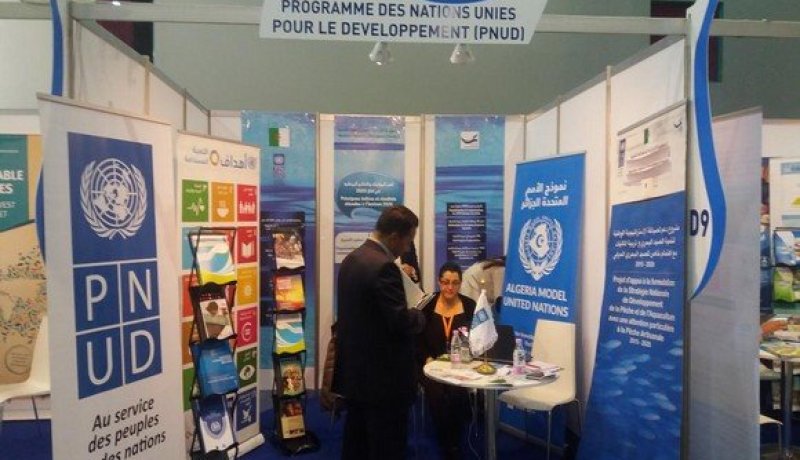 برنامج الأمم المتحدة الإنمائي: تمويل 4 ولايات نموذجية بالجزائر بأزيد من 804 ألف دولار
