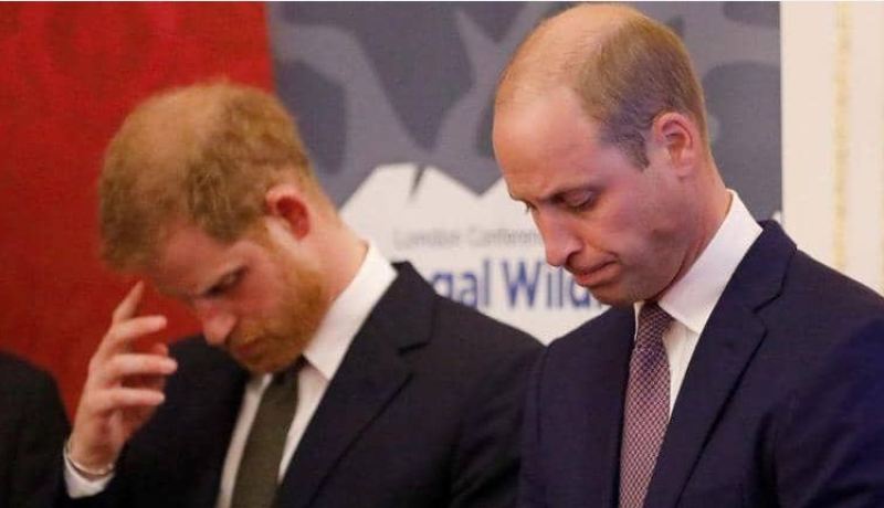 الأمير وليام يخرج عن صمته ويعلق على “إعتزال هاري”