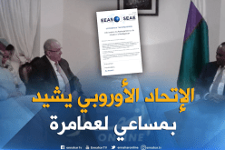 الإتحاد الأوروبي يثمن مساعي لعمامرة ويعد بمراقبة الإنتخابات الرئاسية  في مدغشقر