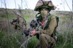 الاحتلال الصهيوني يطلق النار على الأراضي الزراعية بغزة