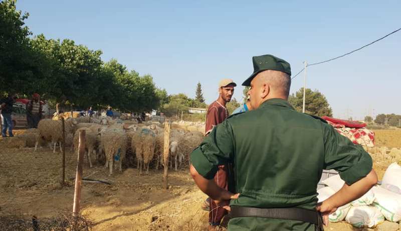 بالصور..تنفيذ قرار منع بيع الأضاحي بالمقاطعة الإدارية للشراقة في العاصمة