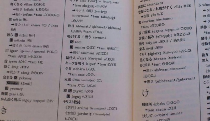 قاموس جديد للأمازيغية في الجزائر!