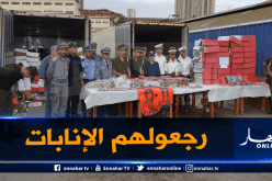 رسميا..الإنابات القضائية في فضيحة الكوكايين تعود للجزائر