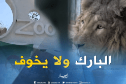 هذه هي المعايير لإنشاء “بارك” للحيوانات… !!!