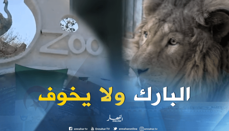 هذه هي المعايير لإنشاء “بارك” للحيوانات… !!!