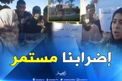 طلبة تخصص الطاقات المتجددة بجامعة “البليدة1” في اضراب و يطلبون الوزير التدخل