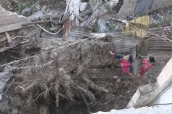 البليدة.. الرياح القوية تقتلع اشجار من جذورها وتسبب في سقوط جدران المنازل