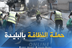 بالصور.. جمع 550 طن من النفايات خلال حملة النظافة في البليدة