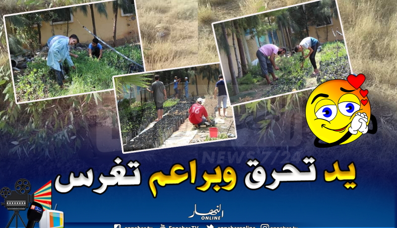 بالصور.. مشروع “المليون شجيرة” لإحياء الغابات المحترقة في البليدة