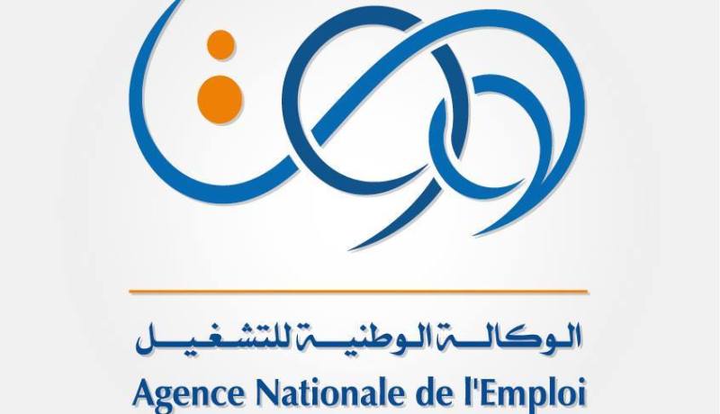 إدماج أكثر من 6 آلاف طالب عمل في سوق الشغل منذ بداية السنة بالبليدة‎