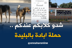 حملة لإبادة الكلاب والقطط المتشردة بالبليدة