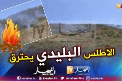 بالفيديو.. جبال العيساوية في البليدة تحترق