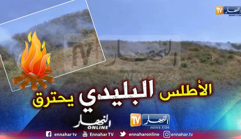 بالفيديو.. جبال العيساوية في البليدة تحترق