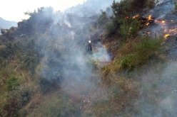 البليدة: إخماد 6 حرائق ومواصلة السيطرة على حريق بالشريفية ومخزن الأدوية