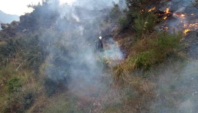 البليدة: إخماد 6 حرائق ومواصلة السيطرة على حريق بالشريفية ومخزن الأدوية