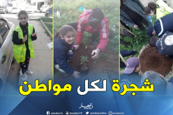بالصور.. حملة تشجير واسعة بالشفة في ولاية البليدة